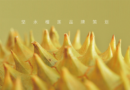 堅(jiān)永榴蓮VI